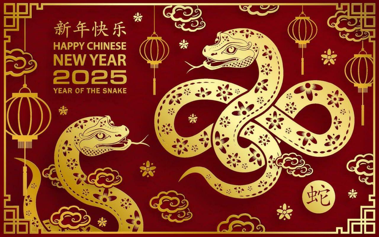 China new year 2030